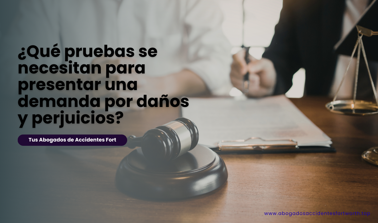 qué evidencia necesito para una demanda